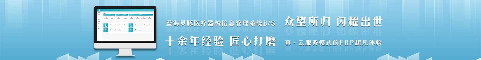 蓝海灵豚医疗器械信息管理系统B/S